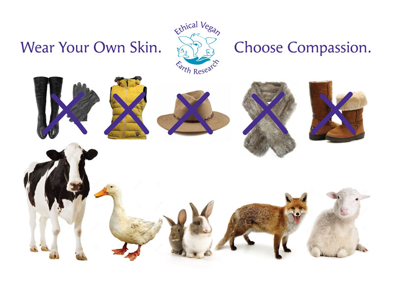 EVER_collage 1-01_rs