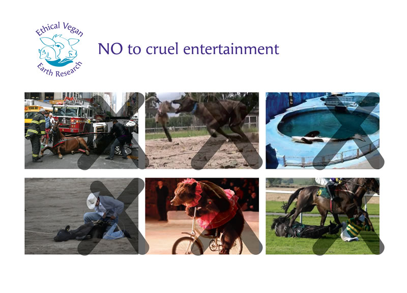 EVER_collage 2-02_rs