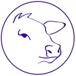 circle_cow