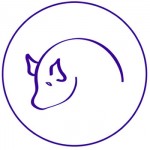 circle_pig